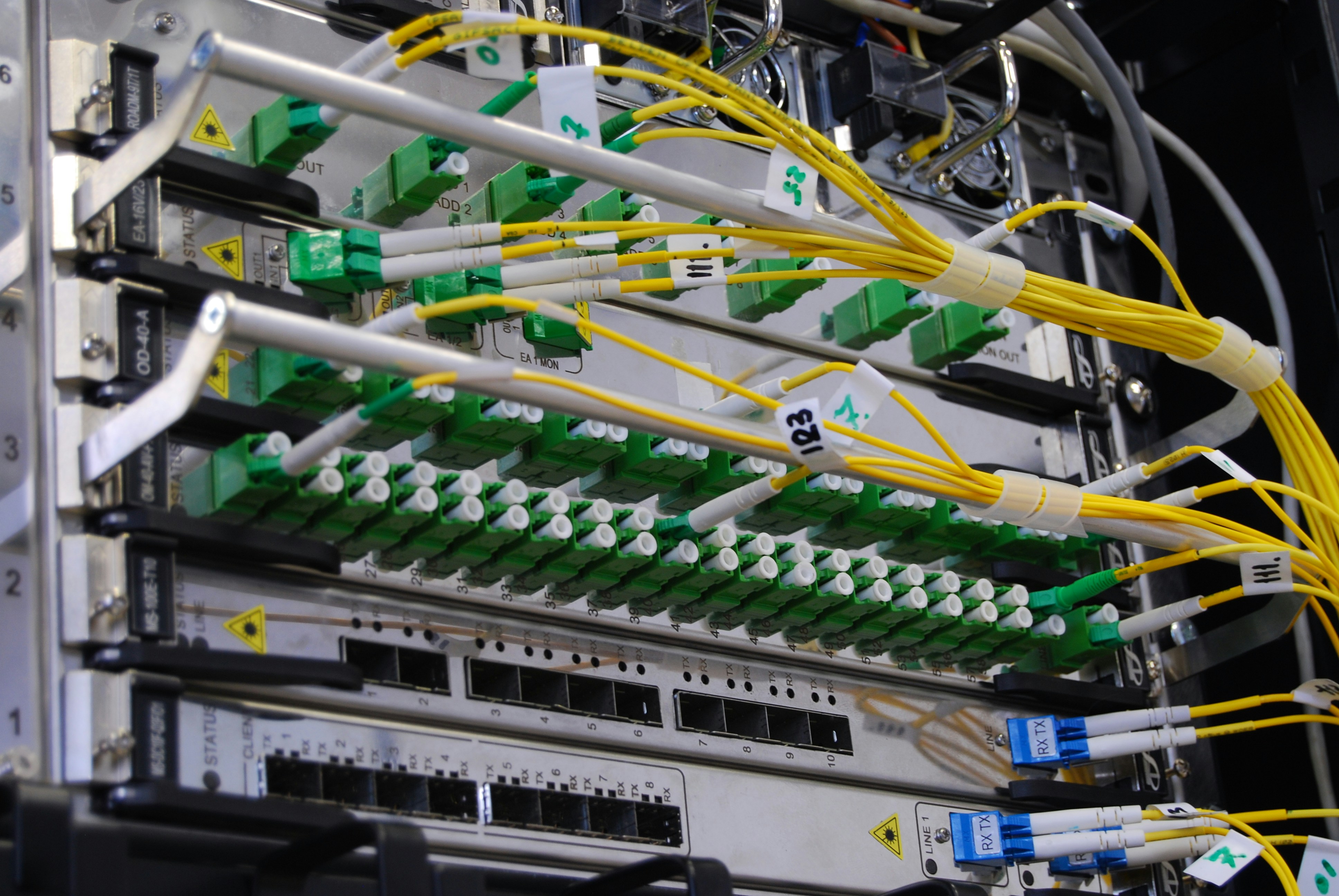 Enterprise Networking